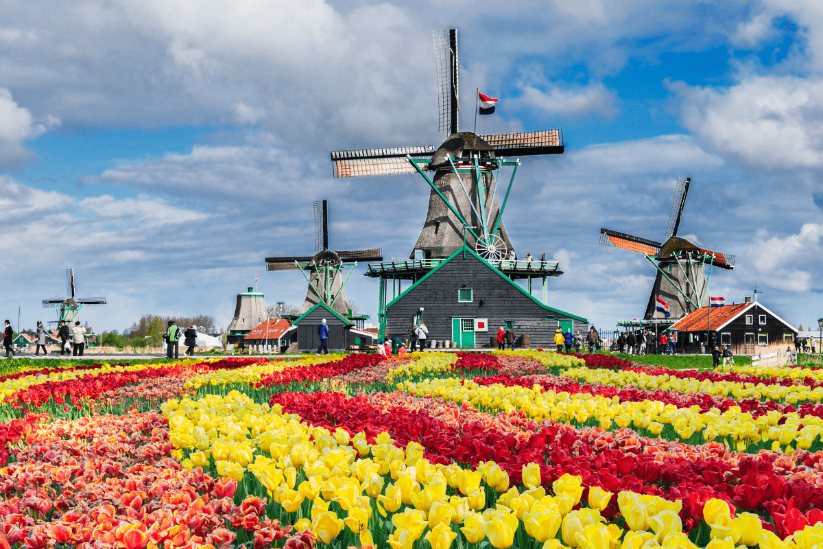 Zaanse Schans Windmills